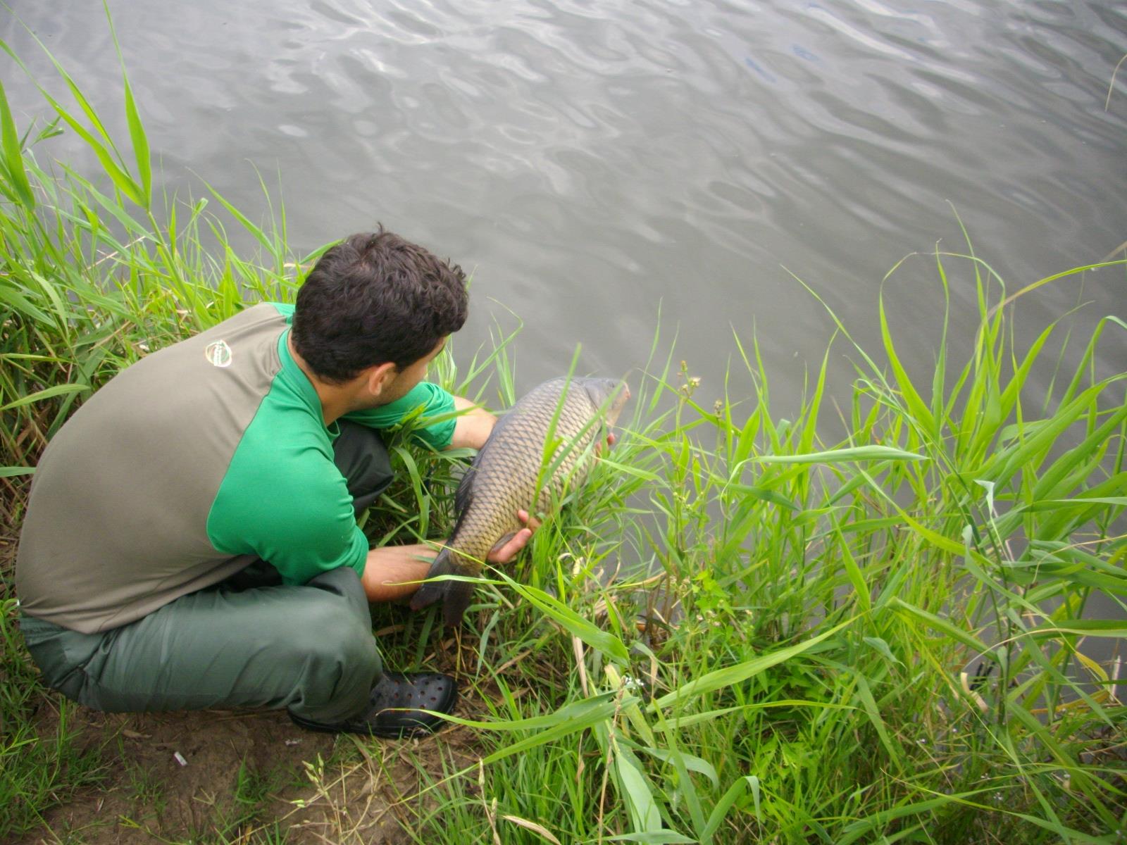 EU si pestii(like Batranul si marea!!!) - IMGP1862.JPG